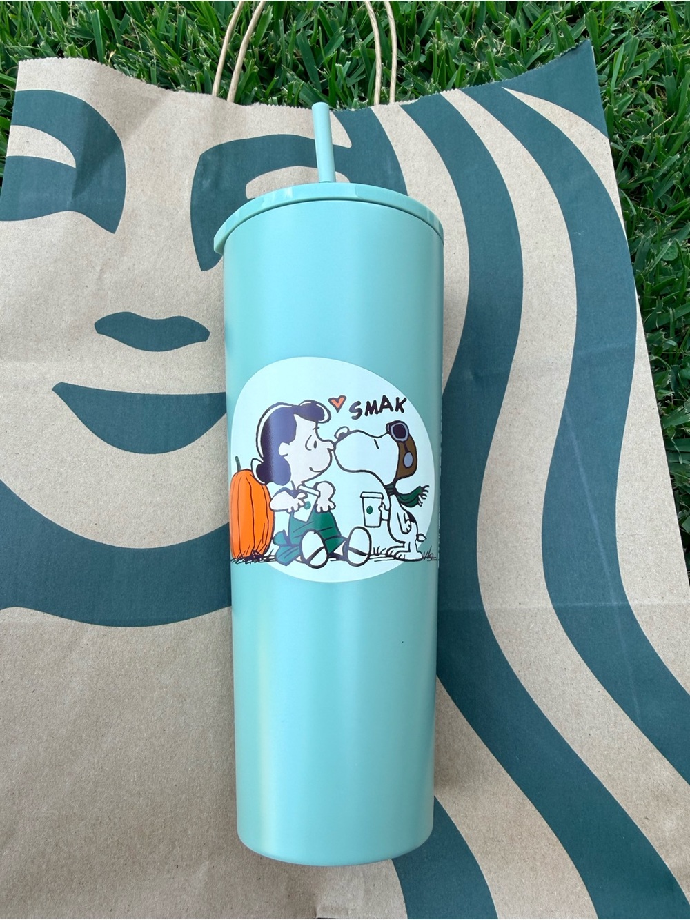 Starbucks Peanuts Kiss Stainless Tumbler with Straw
